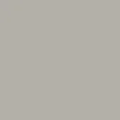 Silk grey solid color field, matte finish, even lighting, flat composition, neutral tone, consistent saturation, studio or digital rendering.