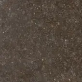 Bronzite texture sample displaying dark brown granular surface with yellow and beige speckled inclusions, rough porous quality, matte finish.