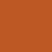 Terracotta orange color field, matte finish, uniform tone, solid background, warm earthy hue, simple composition, full frame saturation.