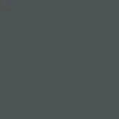 Dark gray matte background with consistent tone and even lighting, displaying a uniform, flat surface devoid of texture or visible markings.