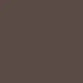 Medium brown monochromatic field, even lighting, consistent tone, simple backdrop, no texture or variation, diffused illumination, uniform surface.