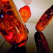 Glass sculptures in amber and red tones, featuring textured surfaces and organic forms, displayed on dark metal stems against a neutral backdrop.