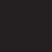 Solid black rectangle with uniform tone and even lighting, presenting a flat, consistent visual field with no texture or markings.