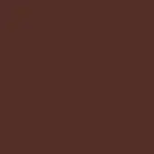 Muted brown color field, flat consistent surface, diffused lighting, no texture or pattern, uniform tone, solid background, neutral composition.