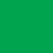 Solid green field, medium-tone saturated color, uniform surface, even lighting, flat consistent tone, no texture, digital graphic composition.