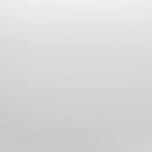 Pale gray to white gradient background, smooth diffused composition, cool muted tones, minimalist aesthetic, uniform surface, lacking texture or pattern.