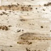 Brushed metal texture with silvery-white tone, displaying irregular brownish-tan streaks and mottled patches, uneven striations, and dark flecks.