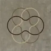 Overlapping circles in brown, beige, and tan tones create a symmetrical, floral-like geometric pattern on a textured gray background with "tortora c" text.
