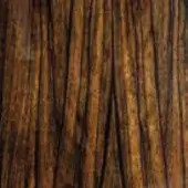 Satinized green ebony wood texture with vertical grain, displaying a dense pattern of narrow strips and subtle light reflection.