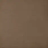 Textured medium brown surface with horizontal linear grain, matte finish, and consistent tone creating depth; uniform pattern, even lighting.