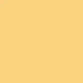 Gradient amber color field, matte finish, consistent tone, simple composition, even hue, solid background, lacking texture or pattern.