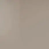 Muted gray wall with subtle tonal gradient, smooth painted surface, diffused lighting, neutral warm undertones, and consistent color throughout the frame.