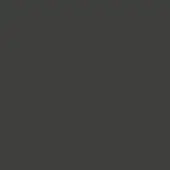 Dark gray solid color background with consistent tone, even lighting, and no discernible texture or pattern, presenting a flat visual field.