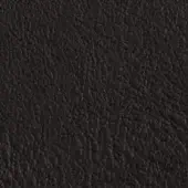 Dark granulated texture with a matte finish, displaying uneven small bumps and indentations across a dense, consistently shaded surface.