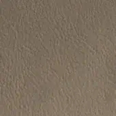 Mottled brown texture with granular appearance, displaying a dense network of irregular bumps and indentations in a muted, earthy tone.