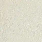 Granular off-white texture with uneven surface, featuring small bumps and indentations in a matte, stucco-like composition with diffused lighting.