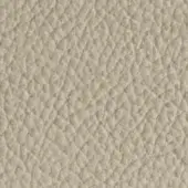 Light beige leather texture with a dense, irregular pattern of raised bumps and deep creases, presenting a matte, natural appearance.