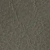 Dark olive-green textured surface with branching vein pattern, matte finish, and subtle tonal variations suggesting an organic, interwoven material.
