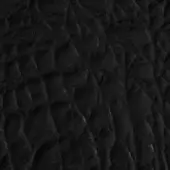 Black crocodile texture with repeating irregular scales, matte finish, and substantial depth creating a complex, three-dimensional pattern.