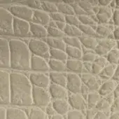 Beige reptile texture with repeating rectangular scales and irregular grooves, featuring a matte finish and three-dimensional surface pattern.
