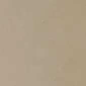 Beige textured surface, matte paper-like material with mottled grain, uniform neutral tone, even lighting, natural fiber composition, subtle pattern.