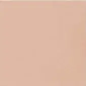 Muted peach color field, uniform matte surface, diffuse lighting, flat composition, neutral backdrop, warm dusty rose tone, solid rectangle.
