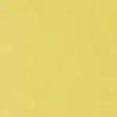 Pale yellow textured surface with a matte finish, displaying a uniform and granular composition, featuring a minimalist, pastel tone.