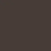 Dark brown monochromatic composition, matte finish, uniform tone, consistent color field, no texture, simple visual structure, solid background.