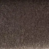 Dark brown script texture fills the frame, with tightly woven characters resembling etched writing and a faint "col. 2012" inscription.