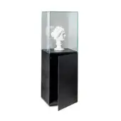 Display case with white bust sculpture, black wood-grain base, rectangular glass enclosure, single door ajar, studio lighting, clear glass.