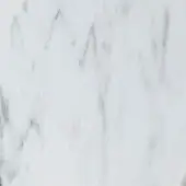 Carrara marble texture, matt white surface with grey veining, displaying varied thickness and irregular branching patterns, subtle granular finish.