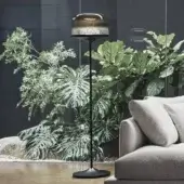 Superior Bonaldo Pin floor lamp with smoked blown glass lampshade and slender lead metal structure in dark matte finish