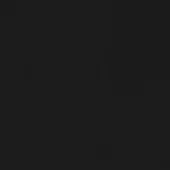 Shiny black background with a smooth, matte texture and subtle tonal gradient creating a minimalist, dark visual field.