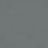Grey pewter gradient background with a matte, flat surface and diffused lighting, displaying uniform color and minimal visual structure.