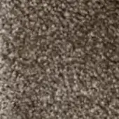 Beige granular texture with mottled pattern, uneven surface composed of small elements, diffuse lighting, natural material appearance.