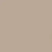 Beige color field, matte finish, consistent tone, sabbia swatch, neutral earthy palette, solid rectangular composition, understated visual texture.