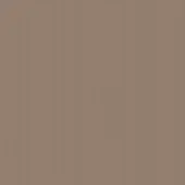 Tortora color swatch, matte finish, uniform warm tone, diffused lighting, simple composition, consistent surface, neutral background, solid color.