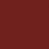 Deep reddish-brown color field, matte finish, uniform tone, studio lighting, consistent saturation, full frame, no texture or markings present.