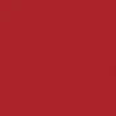 Solid rosso red color field, matte finish, monochromatic composition with uniform tone and no discernible texture or visual elements present.