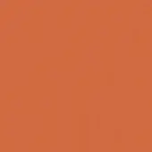 Muted orange color field with subtle vertical striations, matte texture, and even lighting creating a consistent, saturated tone.