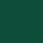 Solid color field of deep green, 20 verde bosco shade, with a uniform matte finish and no visible texture or pattern in the composition.