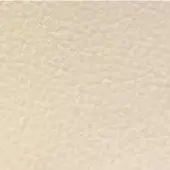 Beige texture sample displaying a granular, velvety surface with irregular bumps and a matte finish under diffused, even lighting.