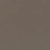 Textured surface in brownish-gray tones, displaying a granular pattern with consistent color and diffused lighting, creating subtle depth.