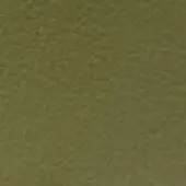 Olive-green granular texture, consistent muted tone with subtle variations, soft diffused lighting highlighting a tactile felt-like surface.
