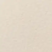 Warm off-white granular texture, matte finish with subtle tonal variations, resembling sanded plaster, soft diffused lighting, neutral composition.