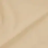 Gradient beige background with diagonal band, smooth texture, and diffused lighting, resembling fabric or blurred landscape, neutral composition.