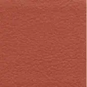 Terracotta texture with a granular, matte finish, displaying consistent earthy tones and an even, subtly uneven surface ideal for interiors.
