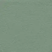 Sage green textured surface with a matte finish and granular appearance, displaying consistent tone and minimal visual variation throughout the composition.