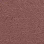 Terracotta texture with granular surface and uneven finish, displaying warm earthy tones and subtle saturation variations in diffused lighting.