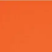 Saturated orange color field, matte finish, uniform tone, flat composition, simple background, mid-tone hue, solid color, seamless visual.